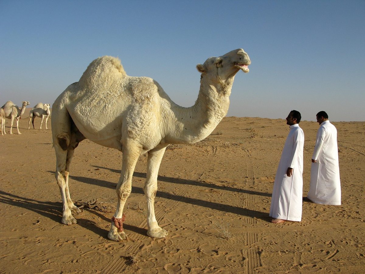 Arabia Saudita boutique