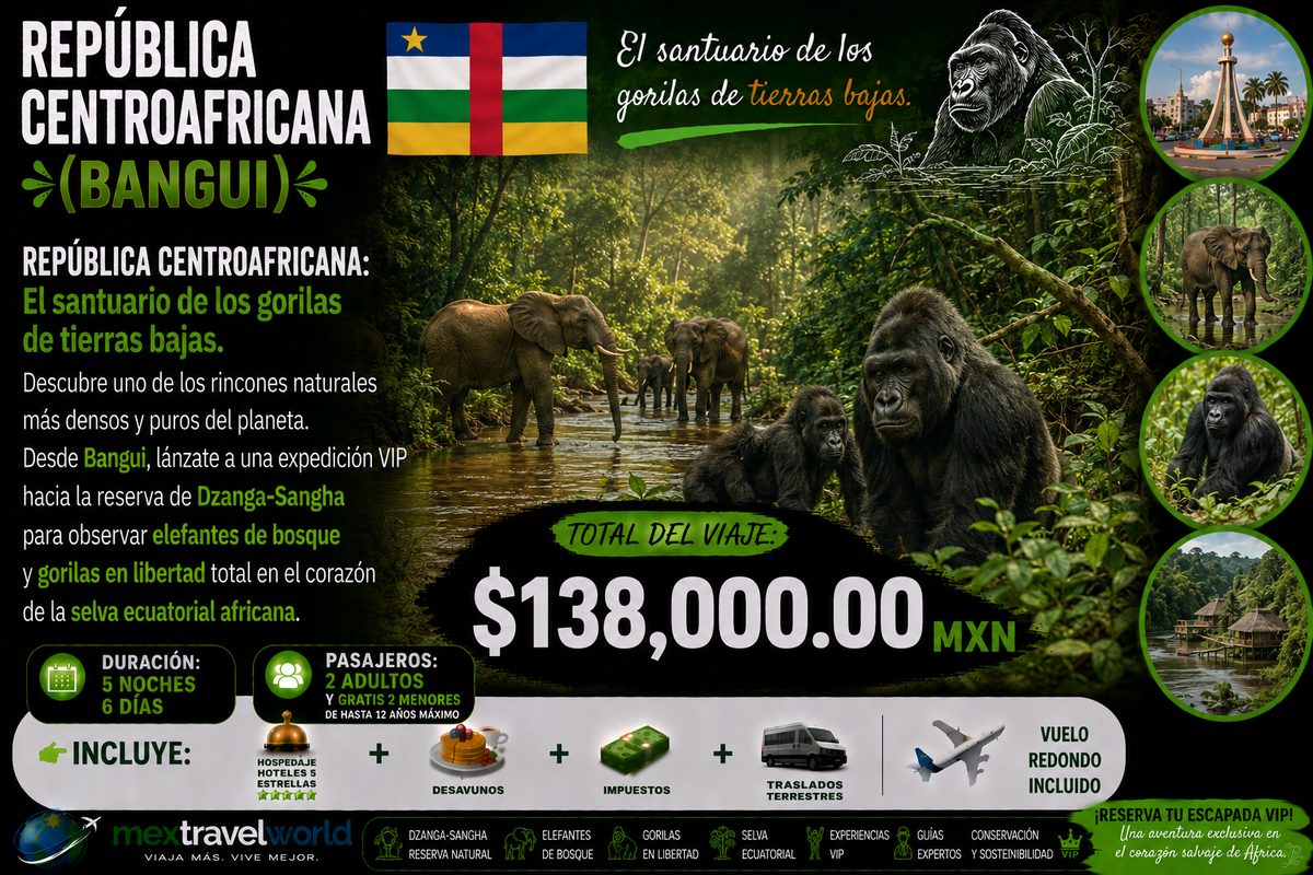 Central African Republic — Bangui · Dzanga-Sangha Reserve · Lowland gorillas | MexTravelWorld
