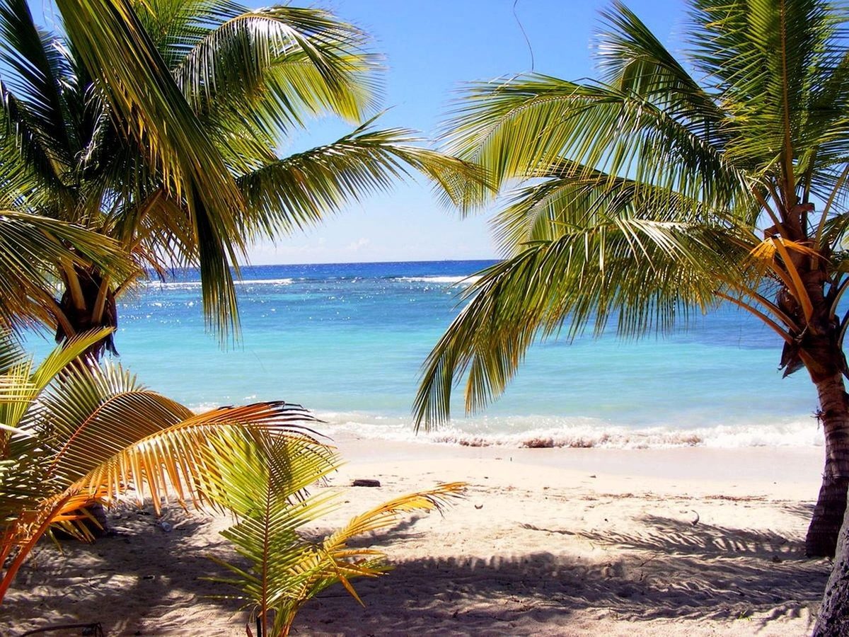Dominica boutique
