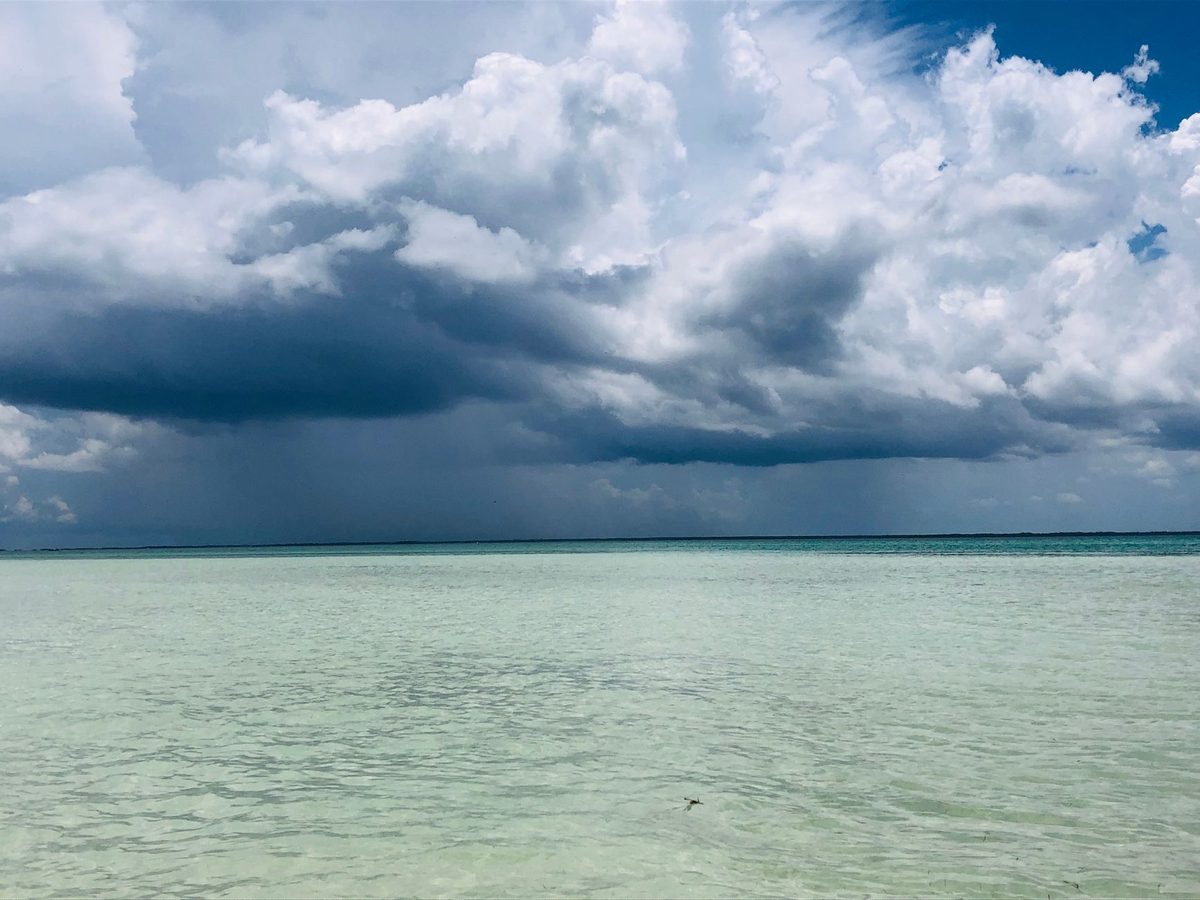 Holbox boutique