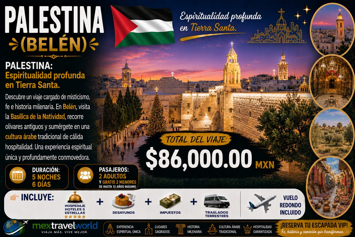 Палестина — Базилика Рождества · Святая земля · Древние оливковые рощи | MexTravelWorld